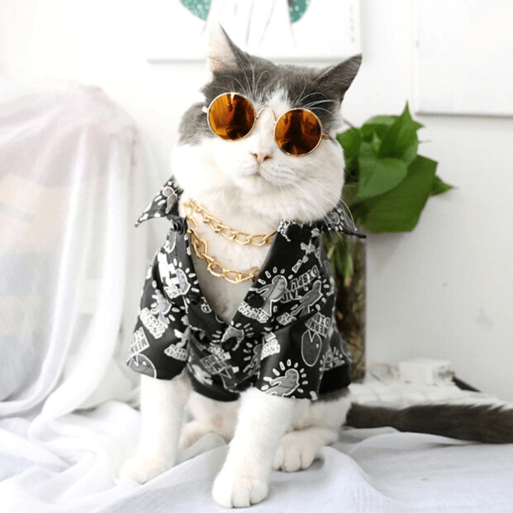 Cat Collection | Bark N' Bones By Bella