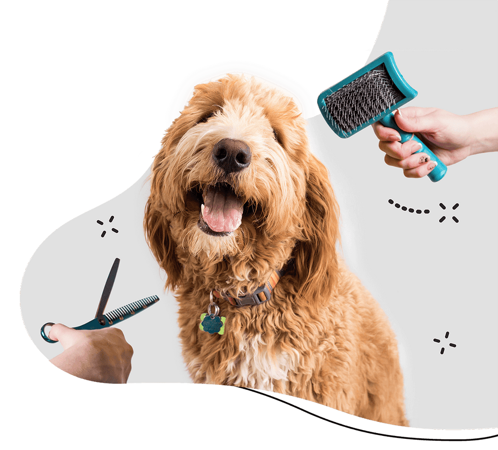 Dog Grooming | Bark N' Bones By Bella