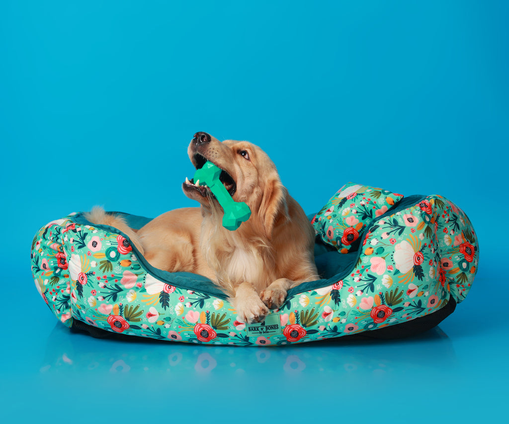 Dog Toys | Bark N' Bones By Bella