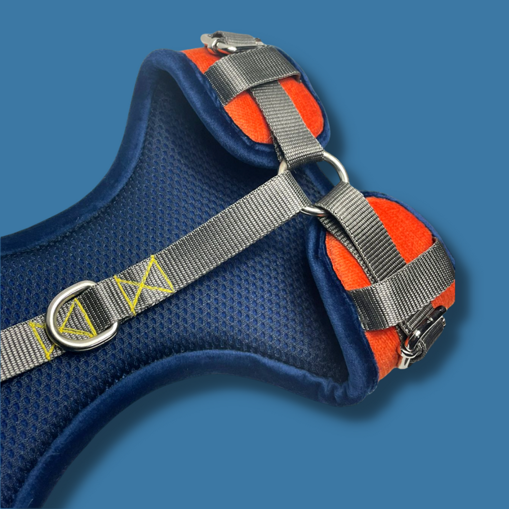 Coral Colour Adjustable Dog Harness