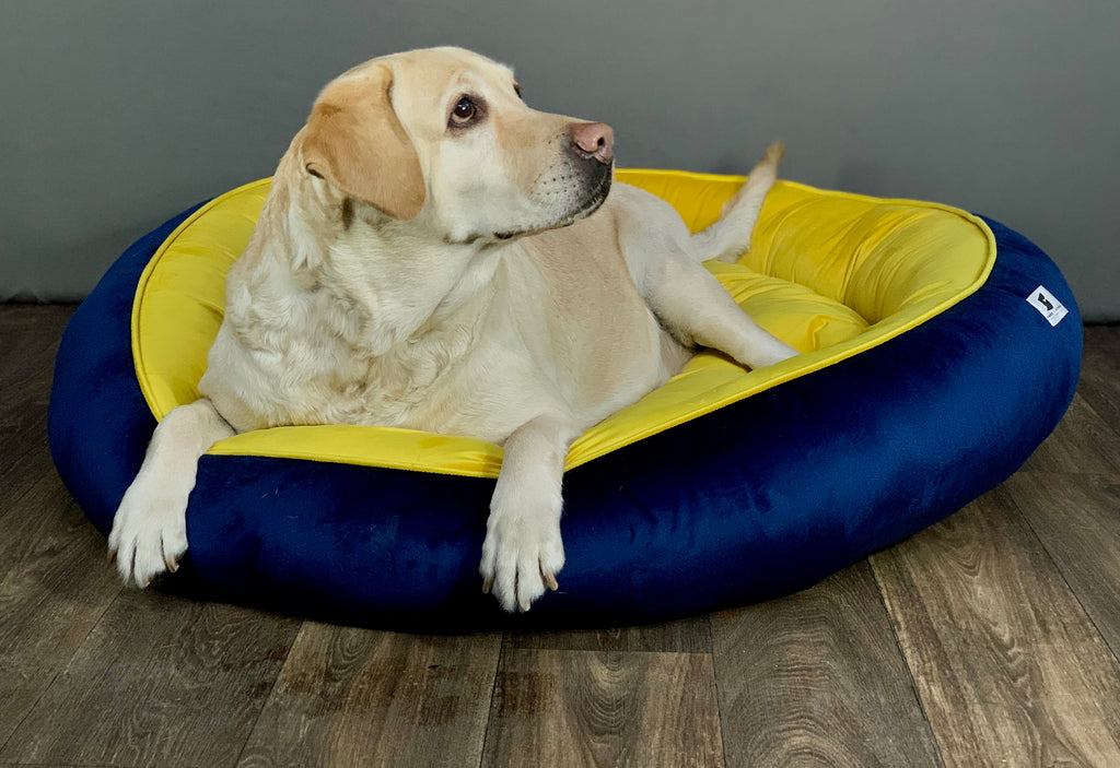 BNB Navy and Yellow Dog Bed -(Donut Bed)