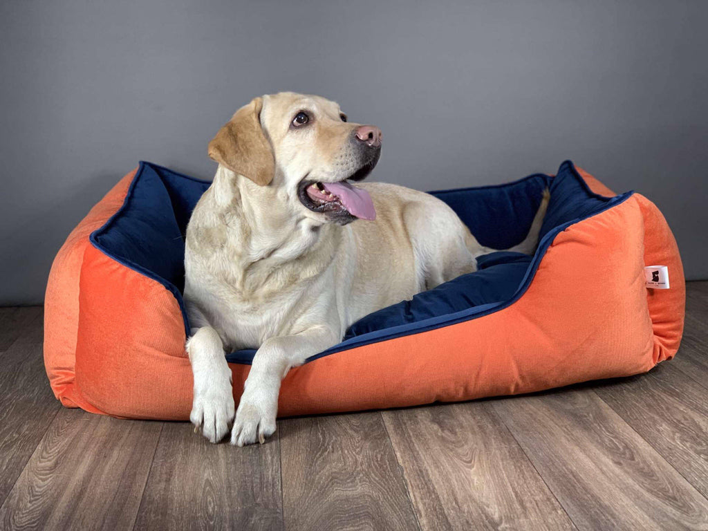 BNB Belgium Coral and Cobalt Dog Bed - Bark N' Bones By Bella