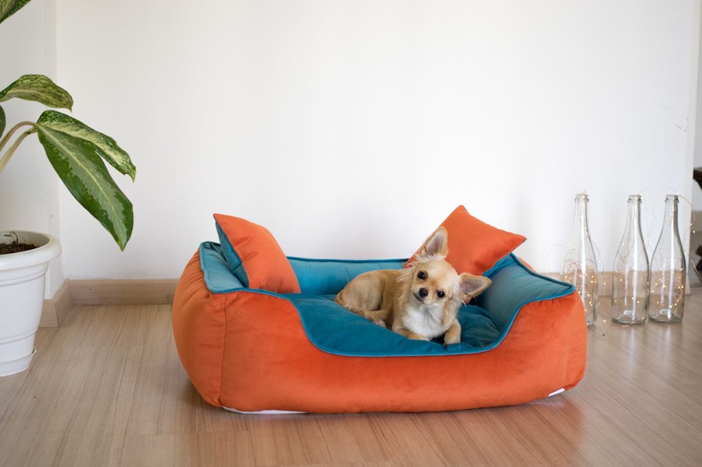 BNB Belgium Coral and turquoise Dog Bed - Bark N' Bones By Bella