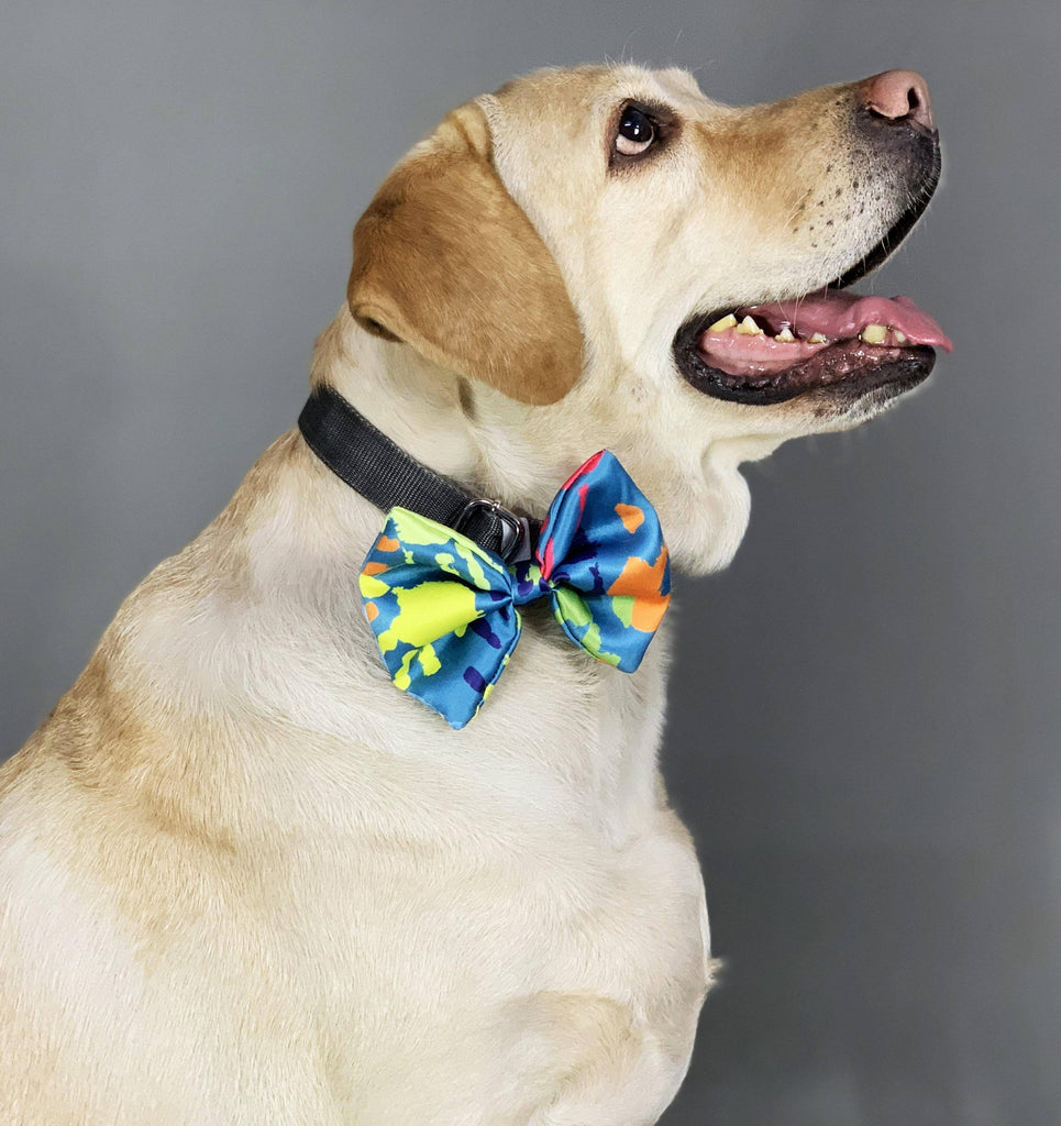 BNB Hand Print Dog Bowtie - Bark N' Bones By Bella