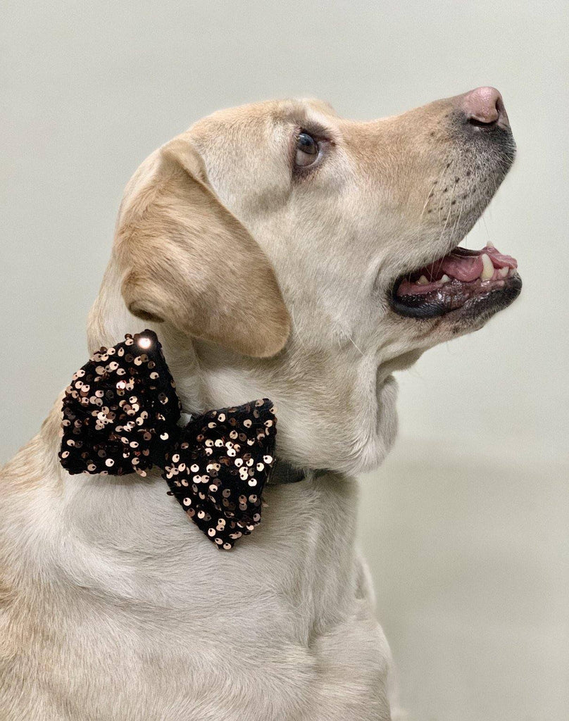 BNB Sequins Bowtie - Rose Gold - Bark N' Bones By Bella