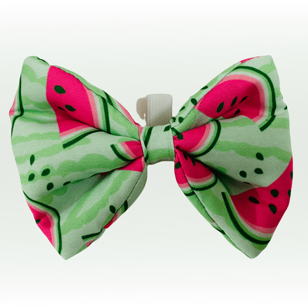 BNB Watermelon Dog Bowtie - Bark N' Bones By Bella
