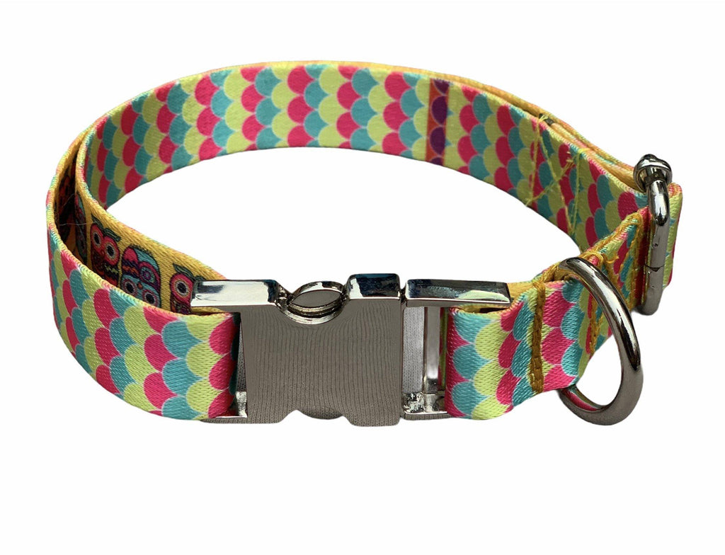 Pop Fins Patterned Collar & Leash Set - Bark N' Bones By Bella